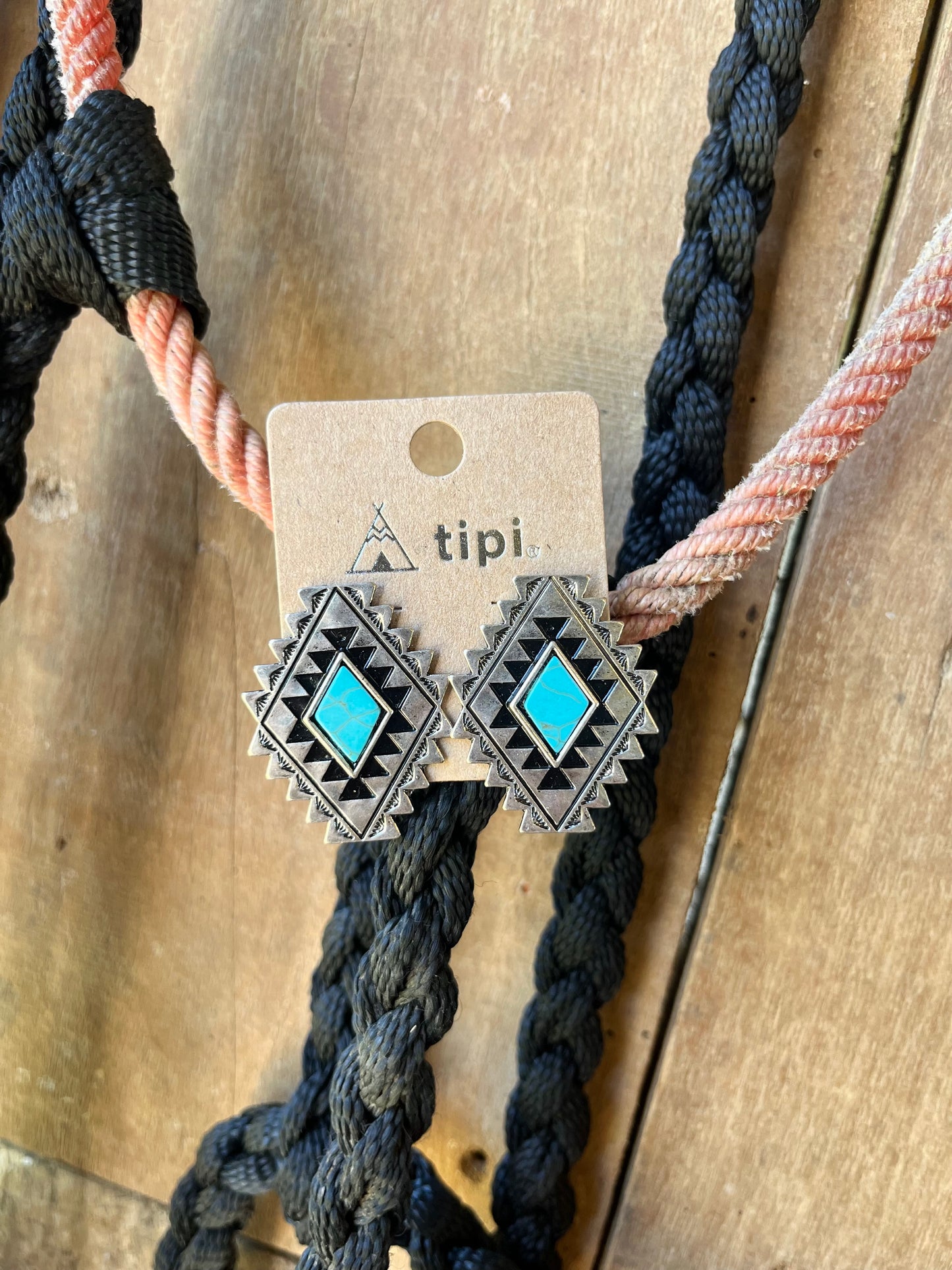 The Colorado Springs Earrings