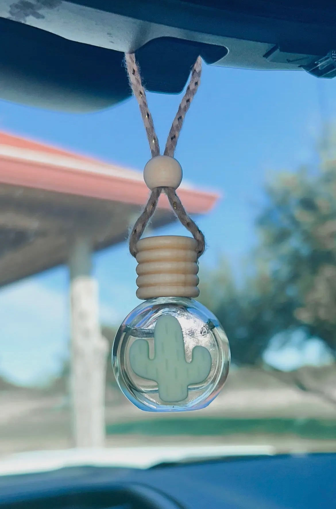 Minty Cactus Hanging Diffuser