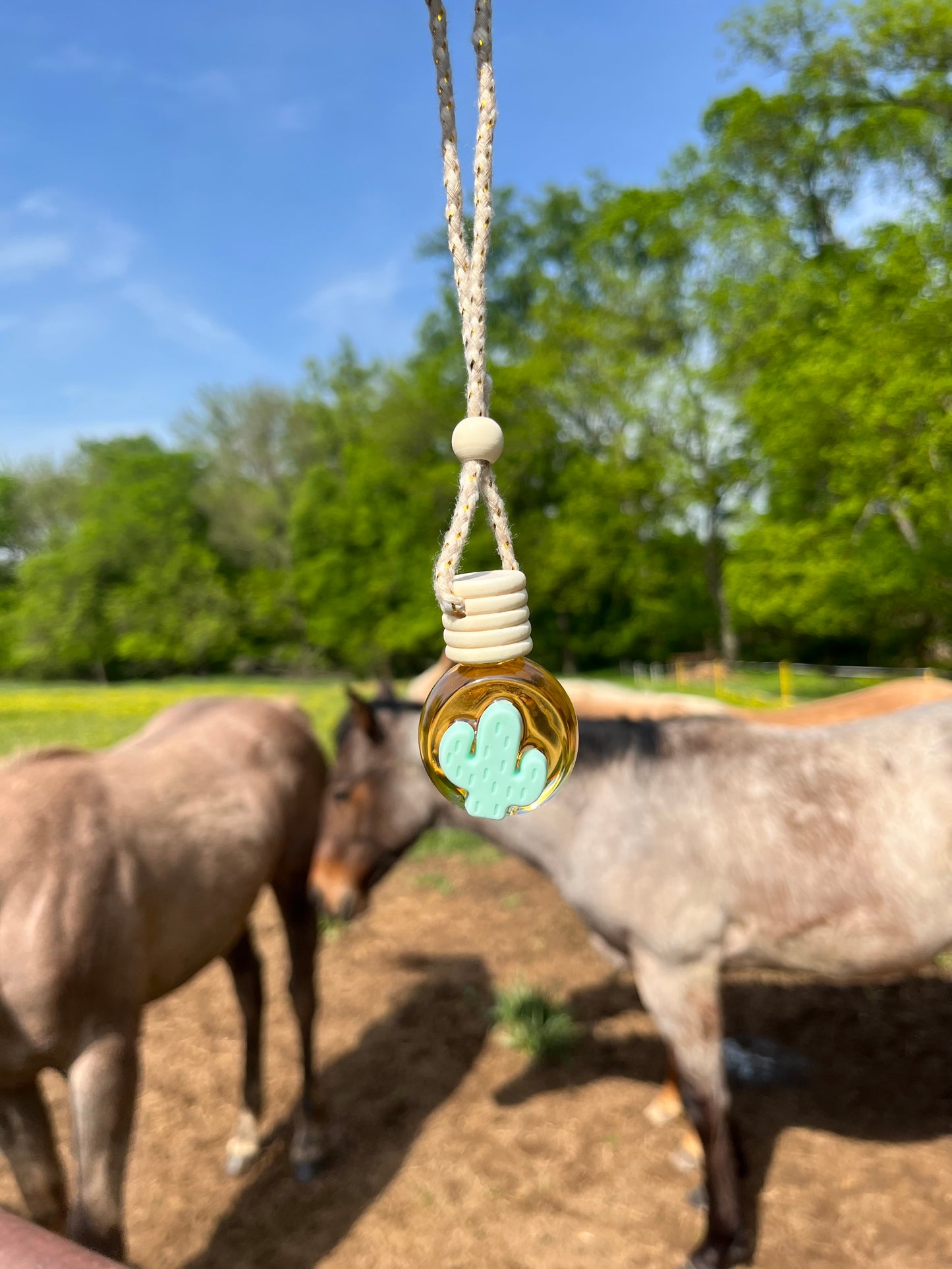 Minty Cactus Hanging Diffuser