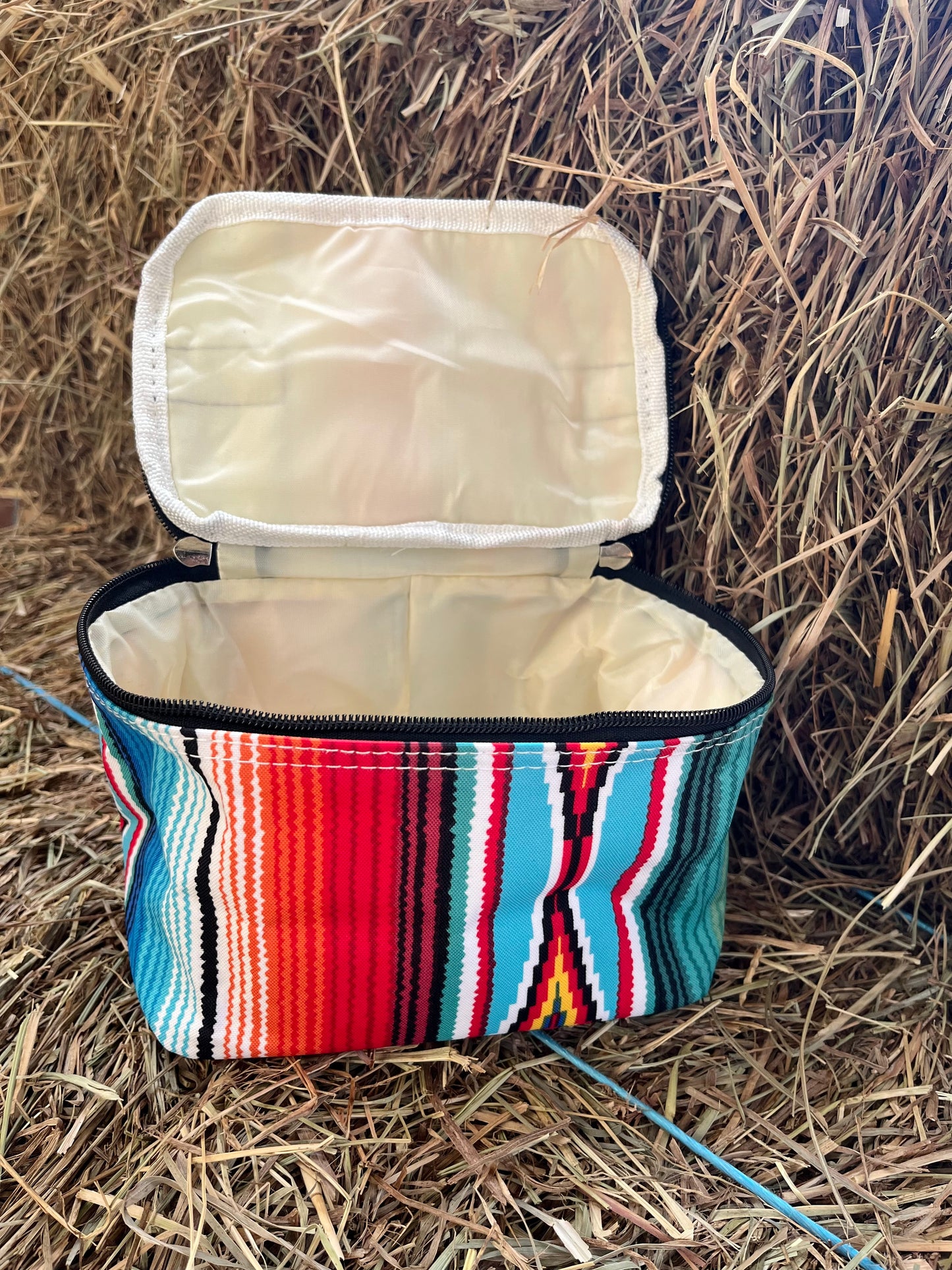 Southwest Serape Case