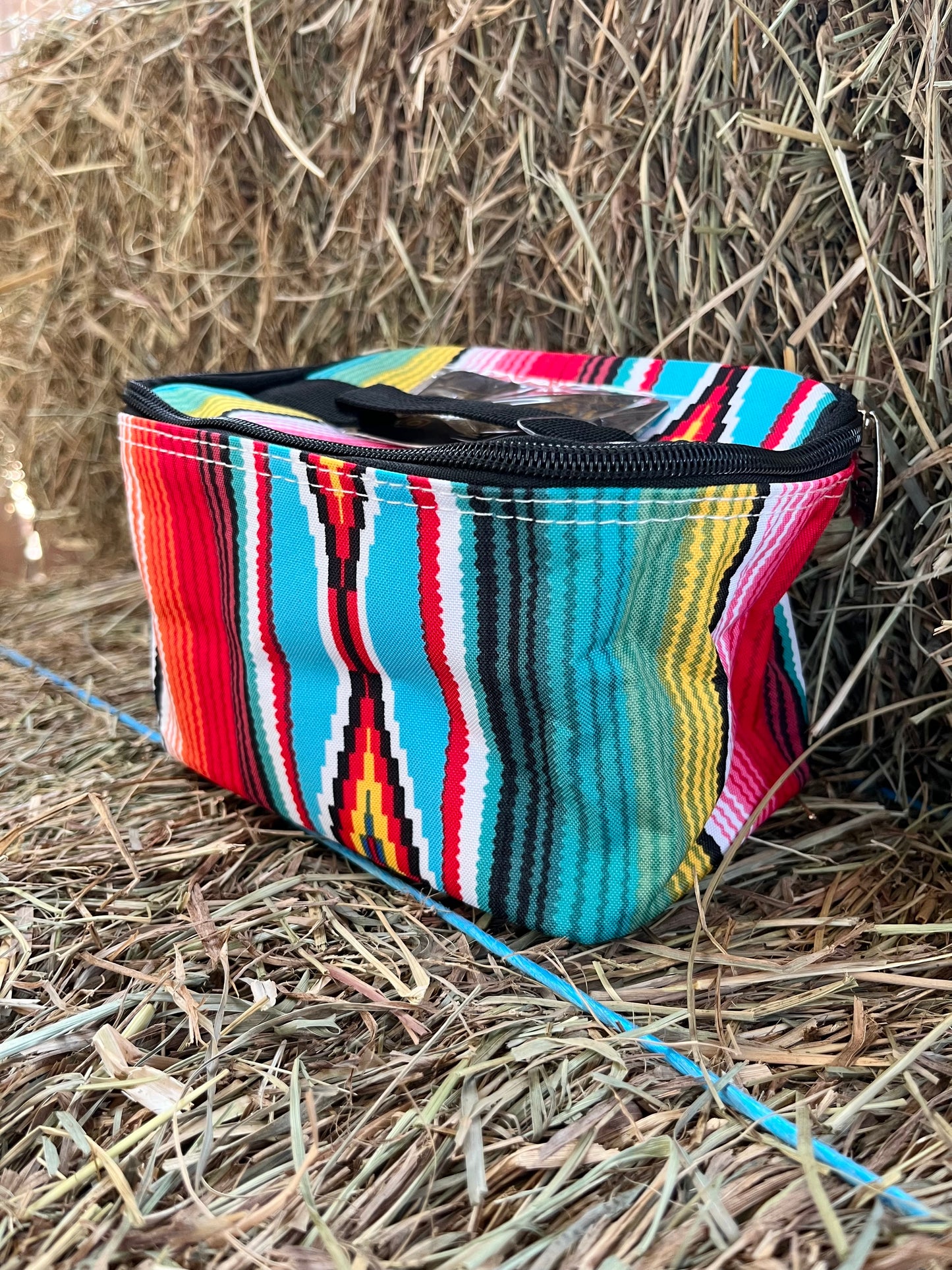 Southwest Serape Case