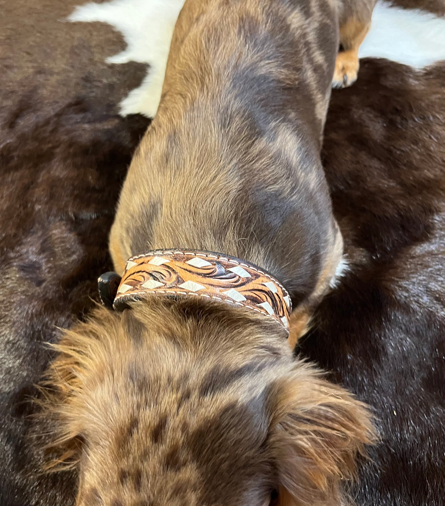 The Millie Leather Dog Collar